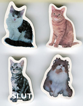 Suddgummi kattfoto