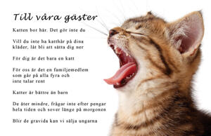 Stort vykort