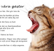 Stort vykort