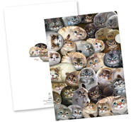 Plastmapp 10-bladig Henry Cats